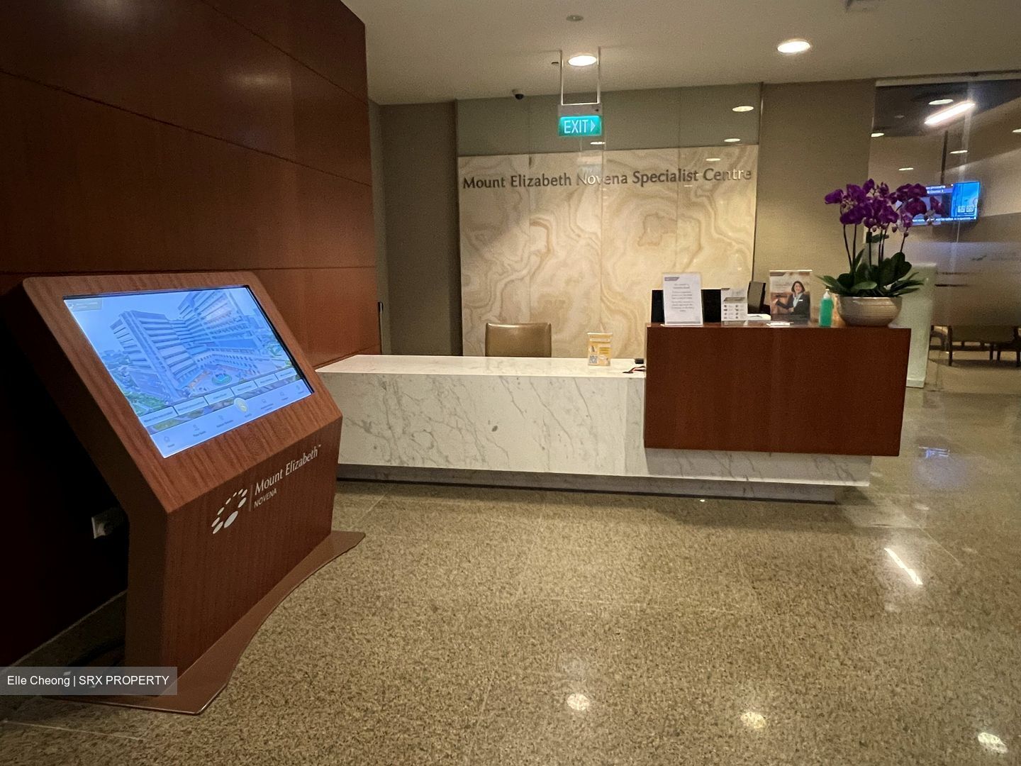 Mount Elizabeth Novena Hospital (D12), Retail #364487221